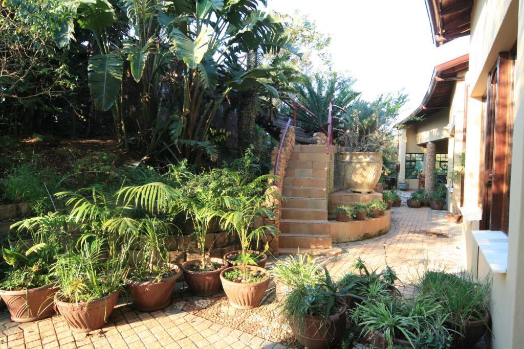 Ammazulu African Palace Kloof Camera foto